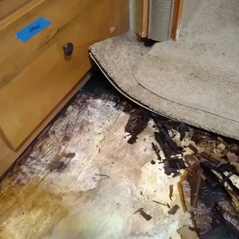 Best Wood Floor Water Damage Service in Sutter County, CA